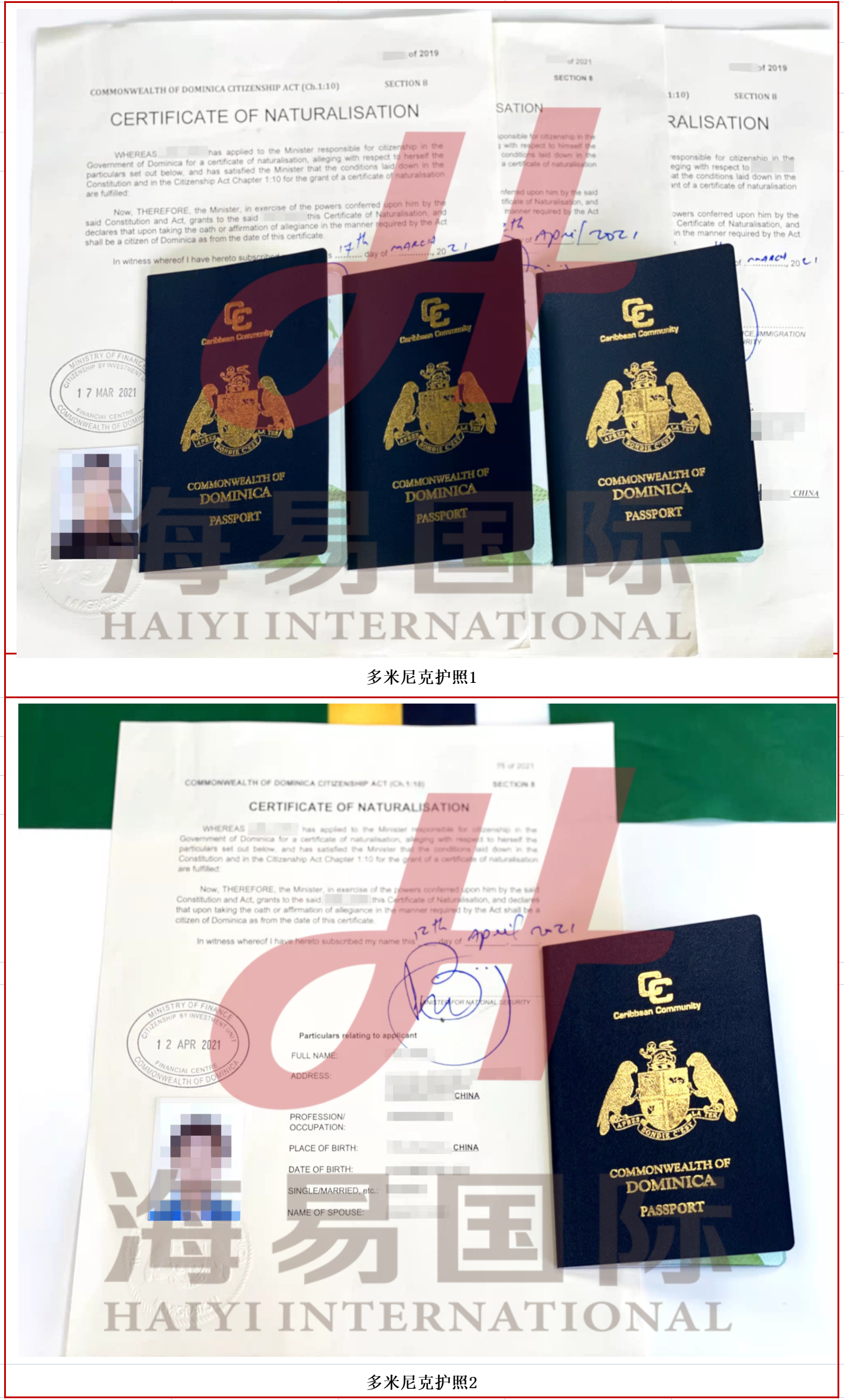 多米尼克护照(图3)