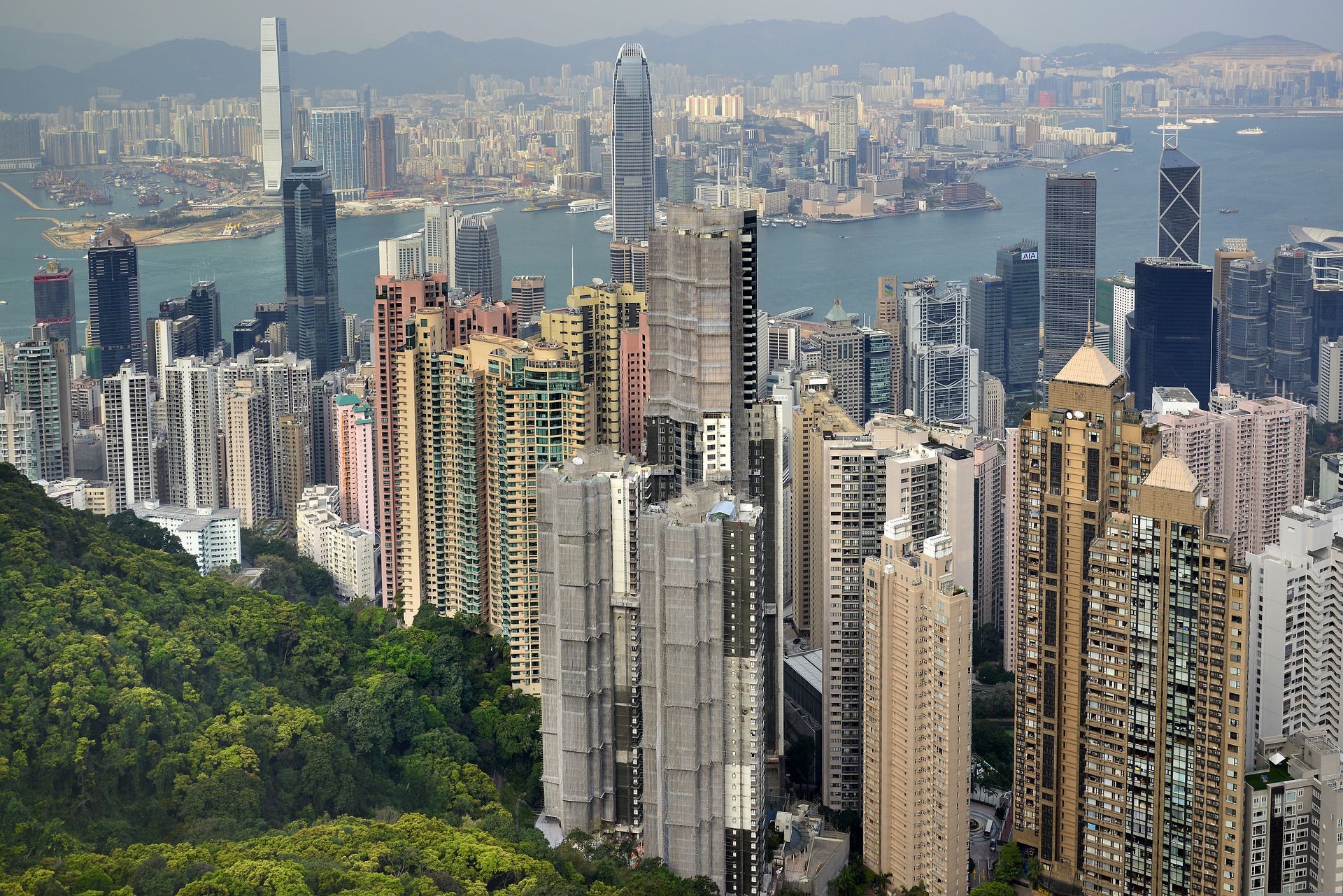 香港高才通计划